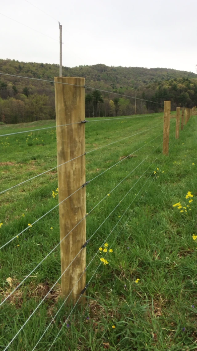 Ag Fencing