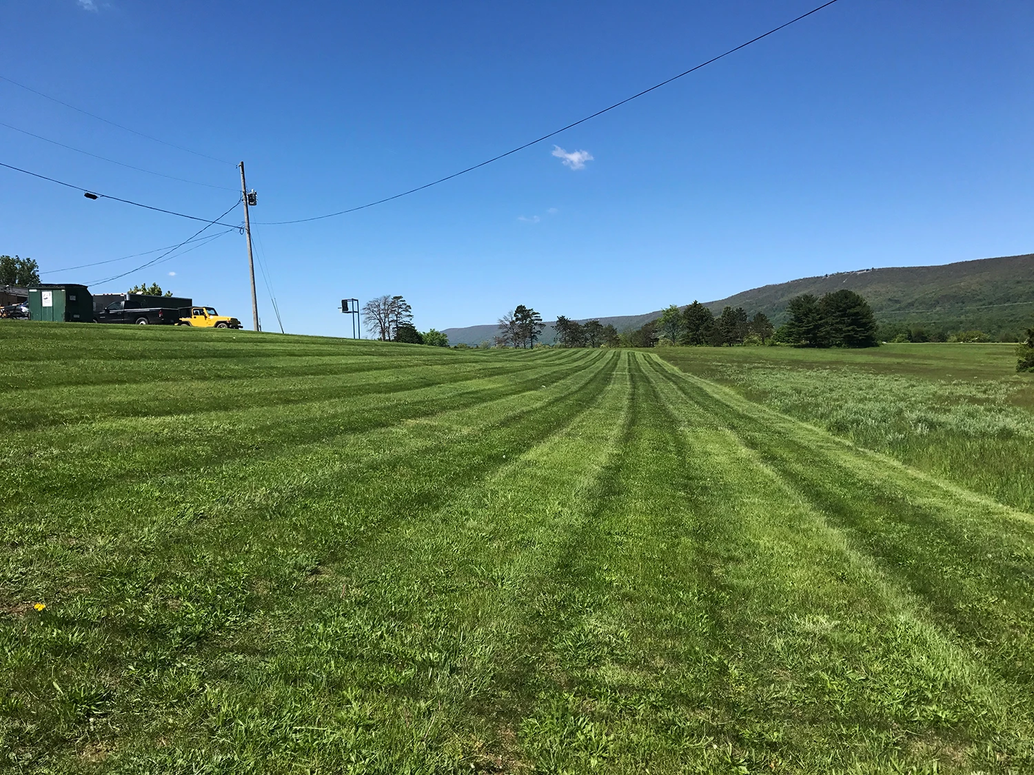 Commercial Maintenance