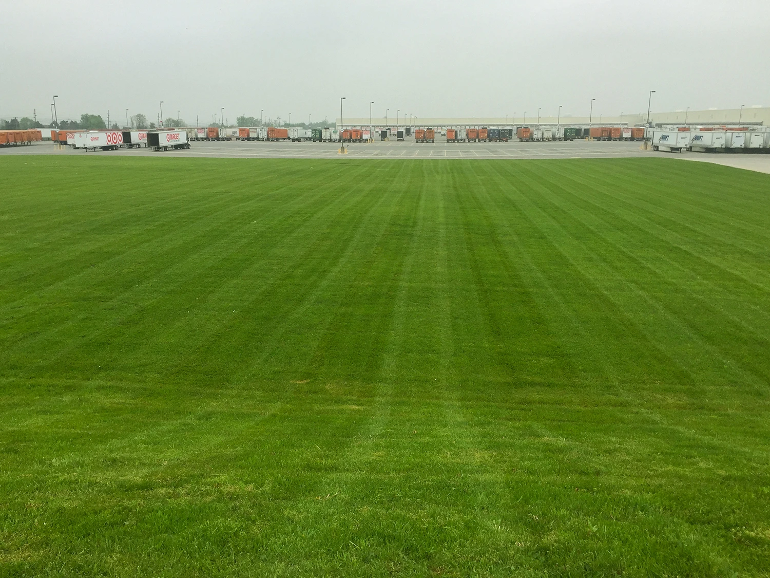 Commercial Maintenance