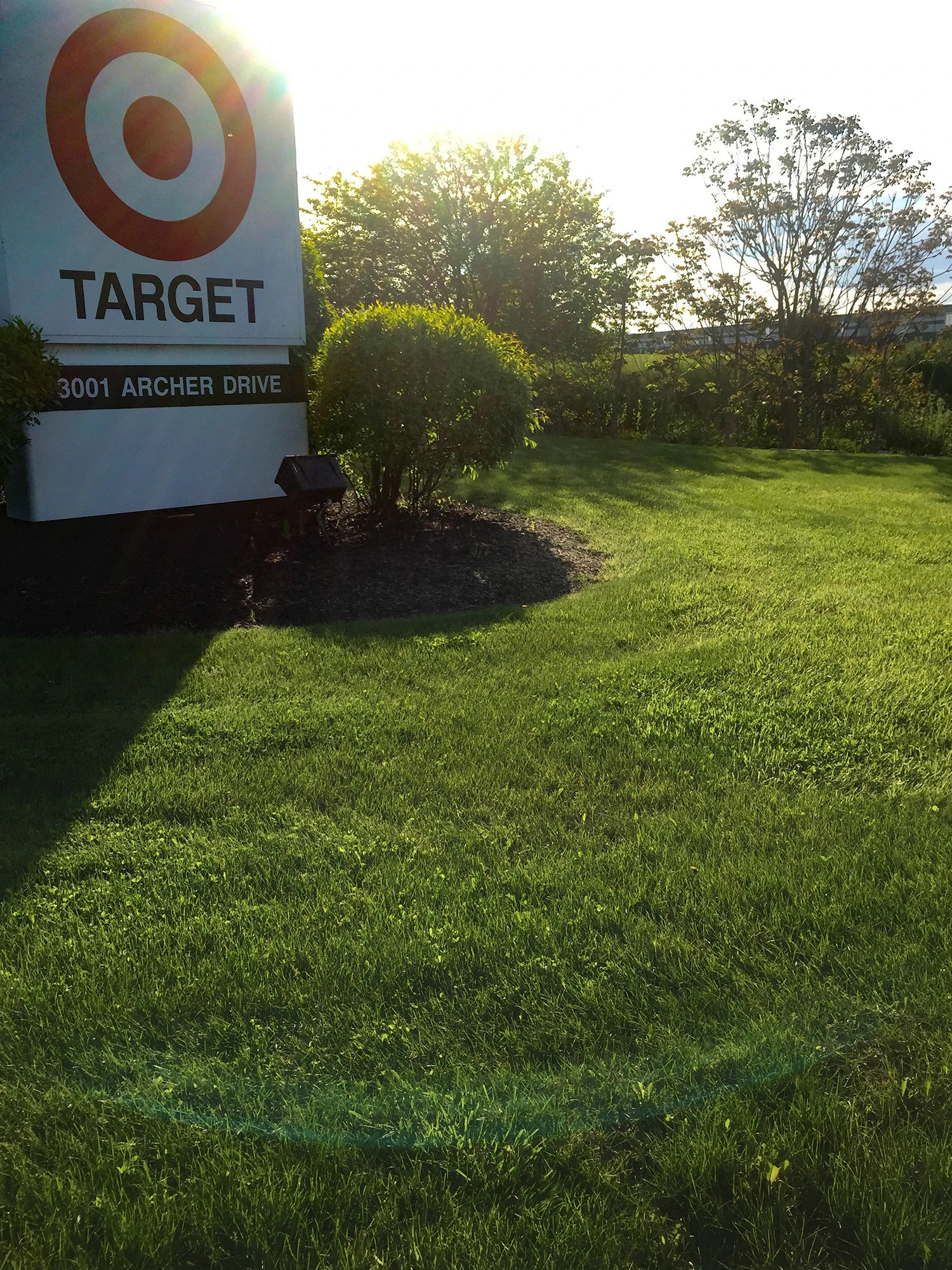 Commercial Maintenance