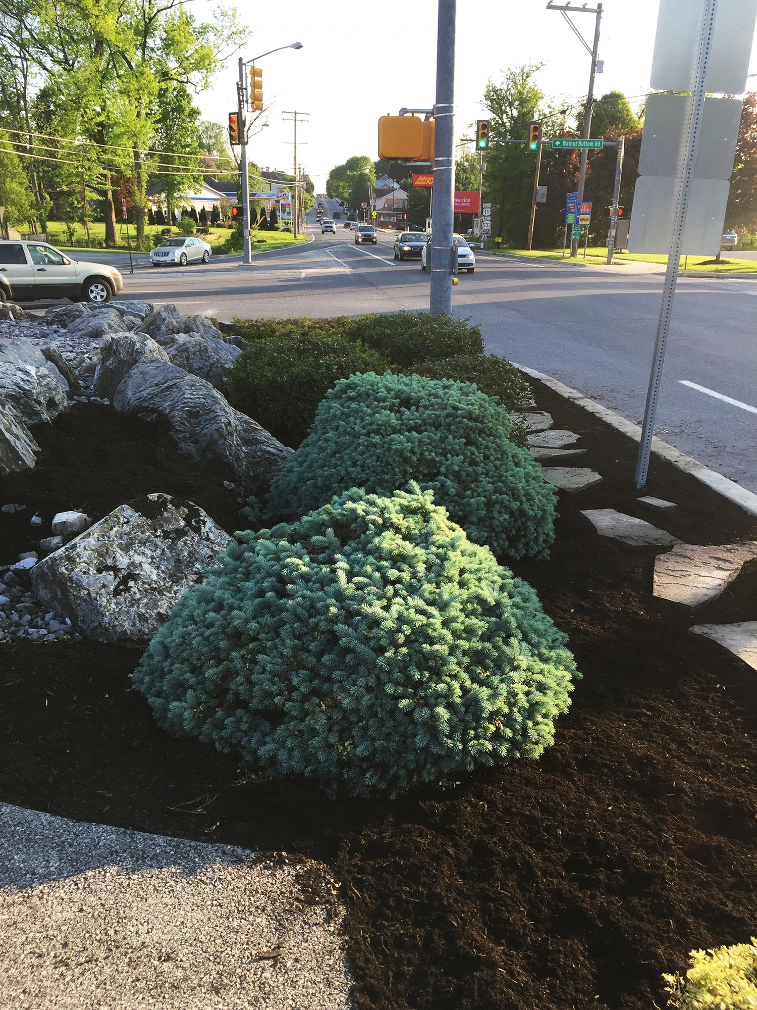 Commercial Maintenance