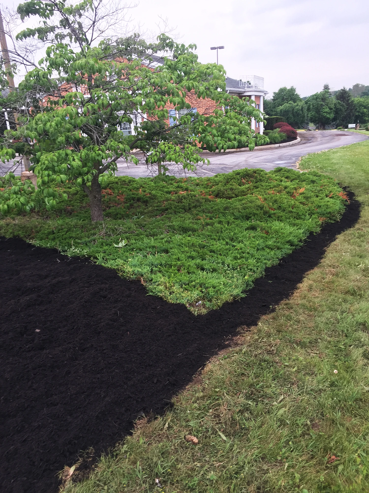 Commercial Maintenance