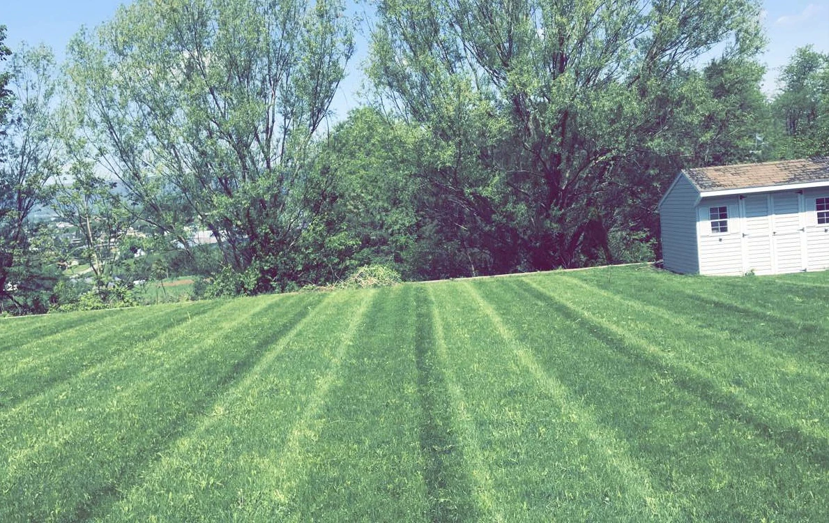 Lawn Care